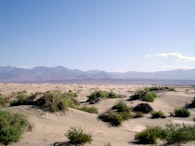 423916961 Death Valley, Mesquite Sand Dunes